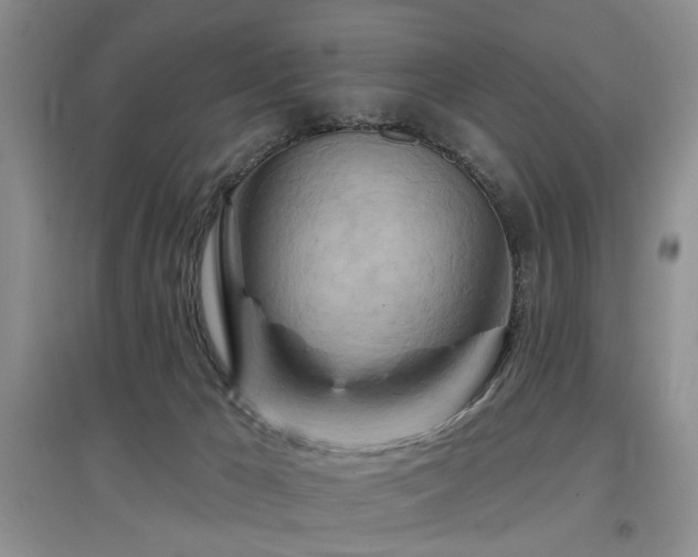 X0000097870029200803141308