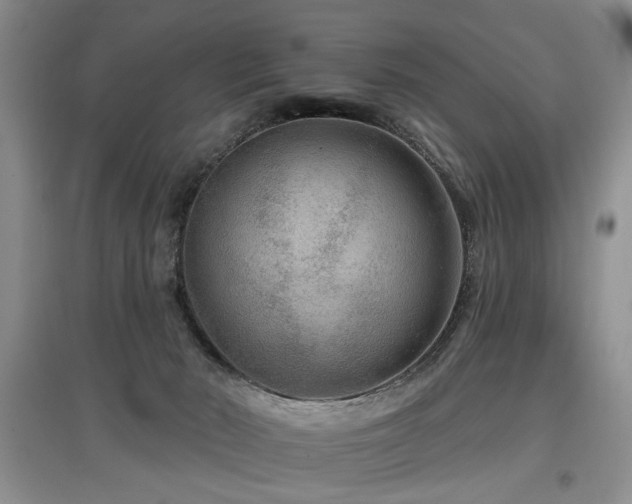 X0000097870030200803141308