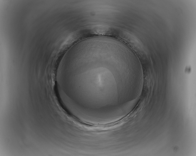 X0000097870031200803141308