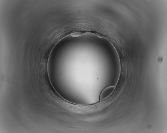 X0000097870034200803141308