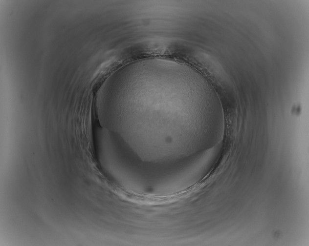 X0000097870035200803141308