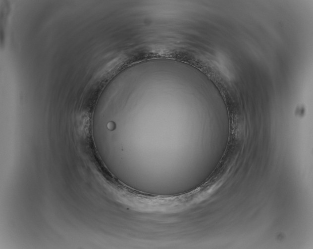 X0000097870036200803141308
