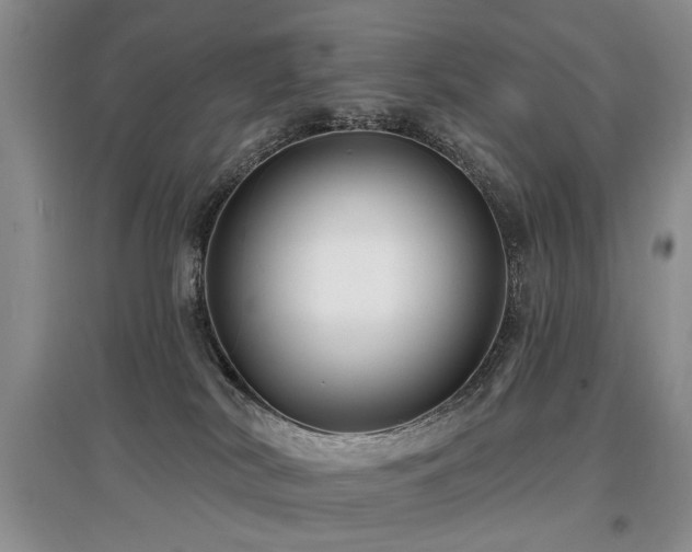 X0000097870038200803141308