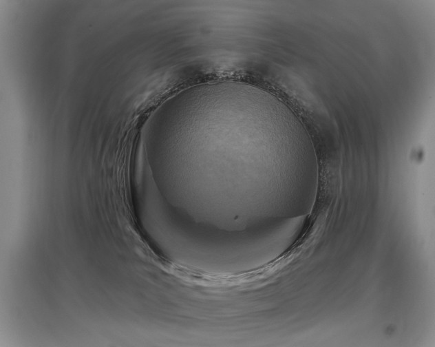 X0000097870039200803141307