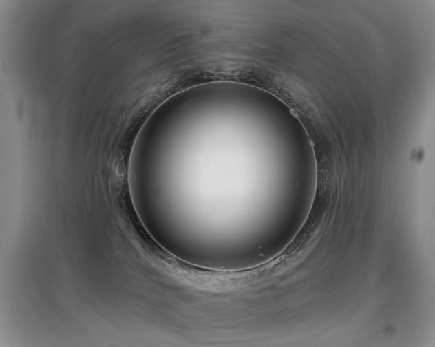 X0000097870040200803141307