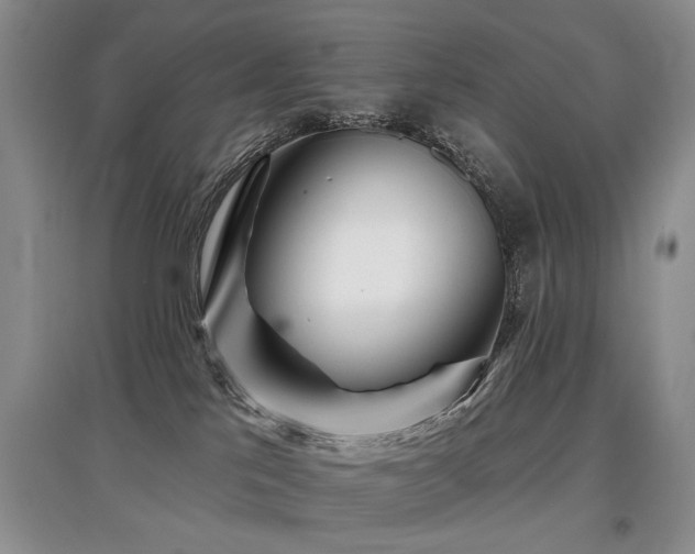X0000097870041200803141307