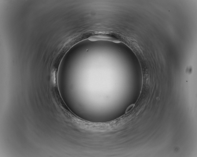 X0000097870042200803141307