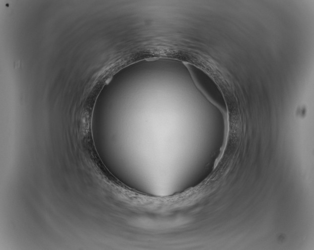 X0000097870043200803141307