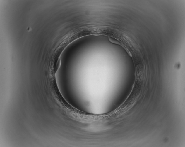 X0000097870044200803141307