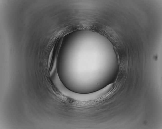 X0000097870045200803141307