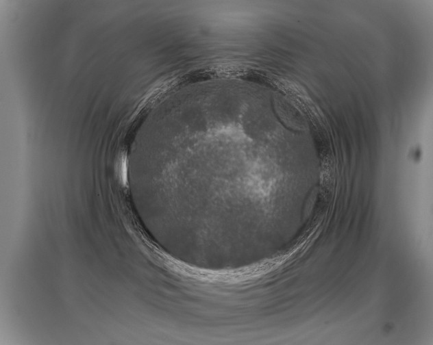 X0000097870046200803141307