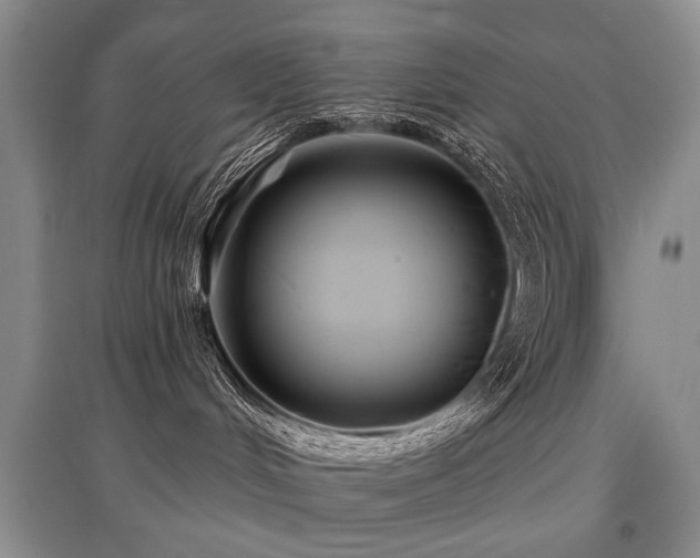 X0000097870048200803141307