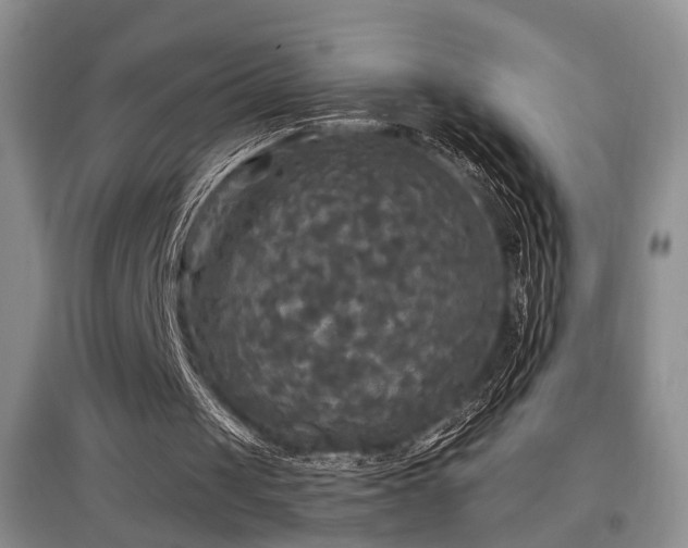 X0000097870049200803141307
