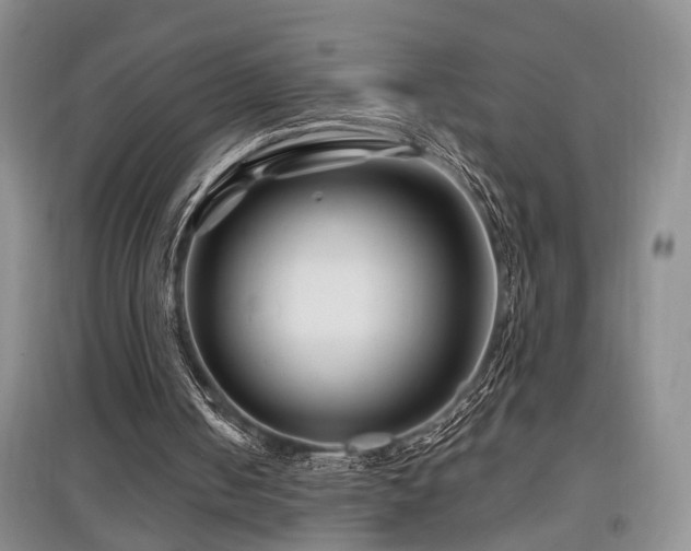 X0000097870050200803141307