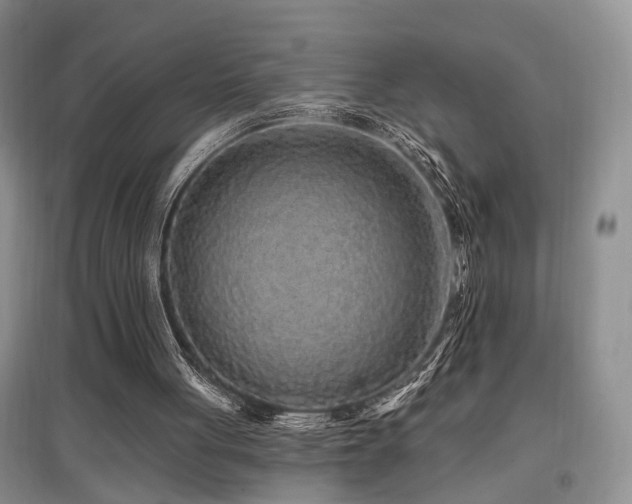 X0000097870051200803141307