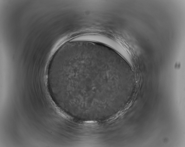 X0000097870053200803141307