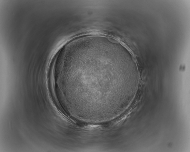 X0000097870055200803141307
