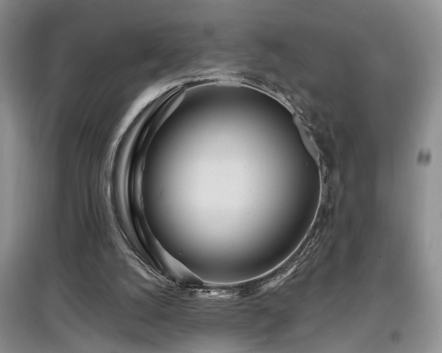 X0000097870056200803141307