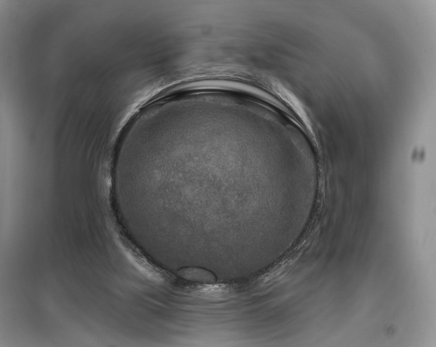 X0000097870059200803141307