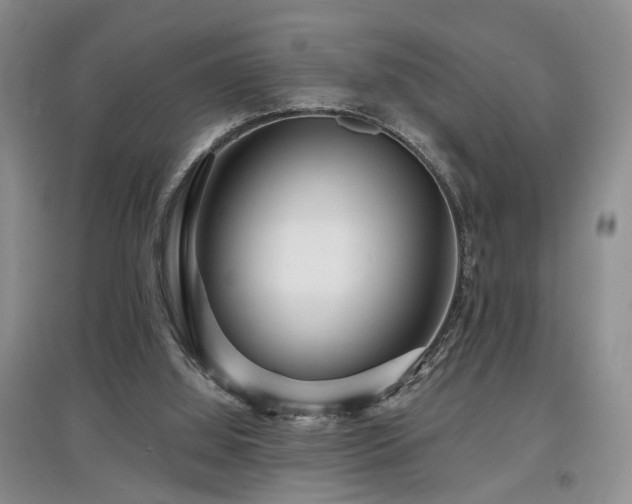 X0000097870060200803141307