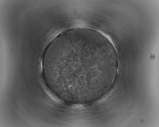 X0000097870061200803141307