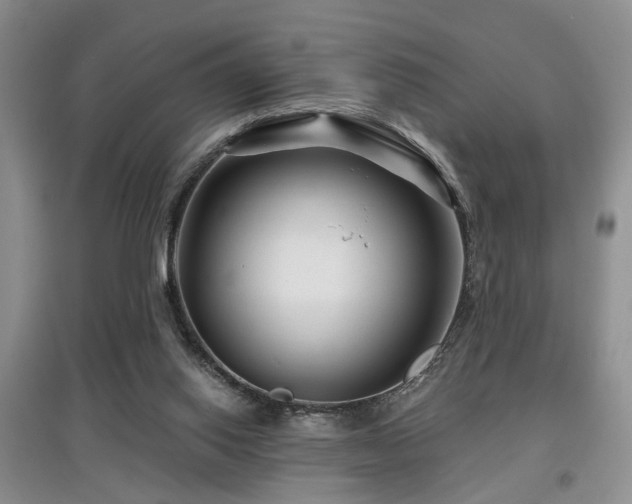 X0000097870062200803141307