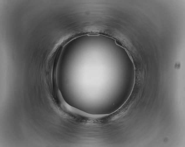 X0000097870064200803141307