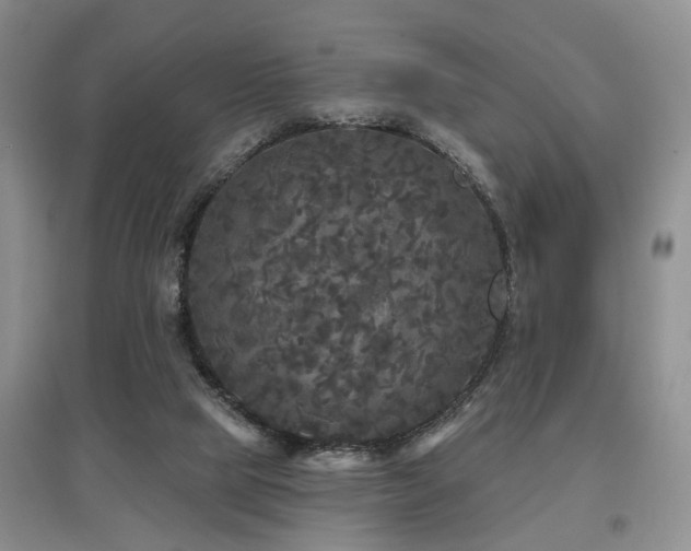 X0000097870065200803141307