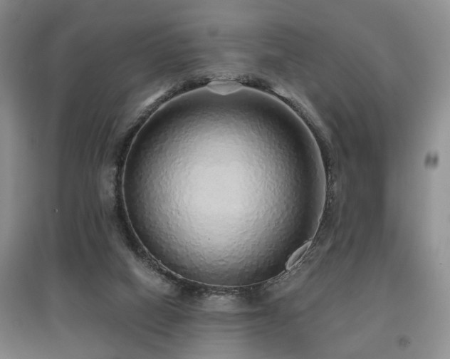 X0000097870066200803141307