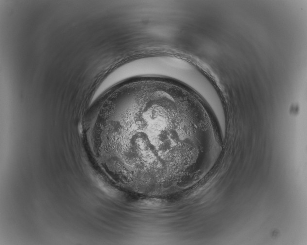X0000097870069200803141307