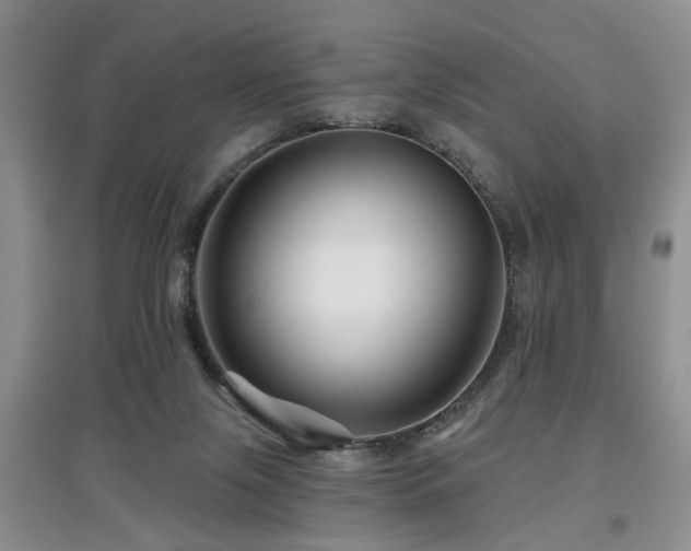 X0000097870071200803141307