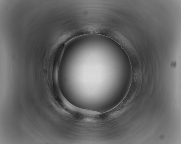 X0000097870072200803141307