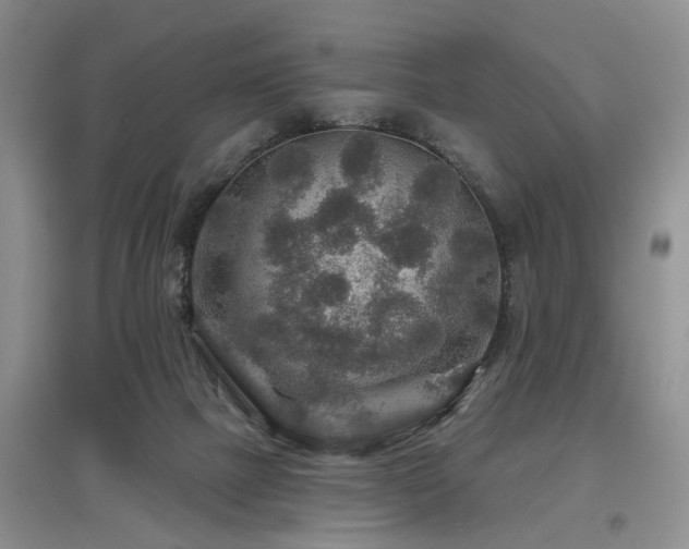 X0000097870073200803141307