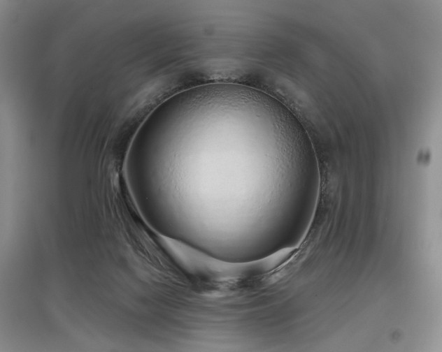 X0000097870074200803141307