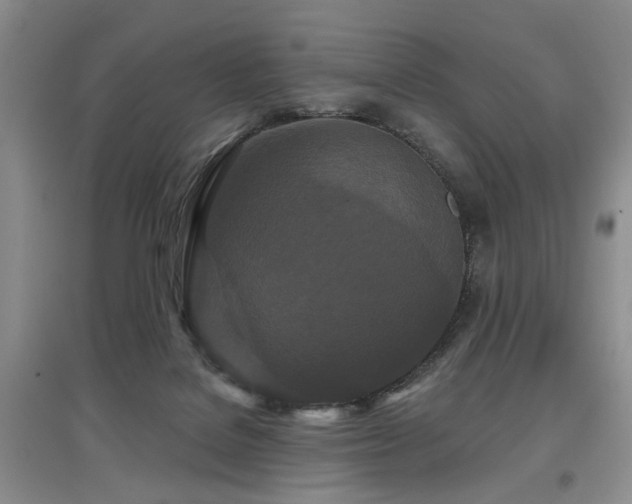 X0000097870076200803141307
