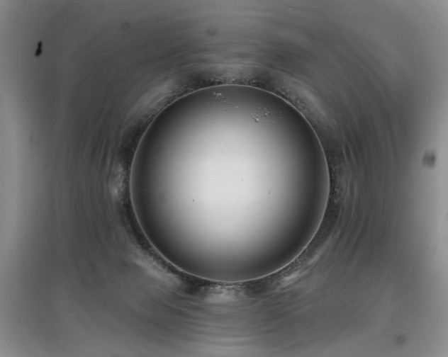 X0000097870077200803141307