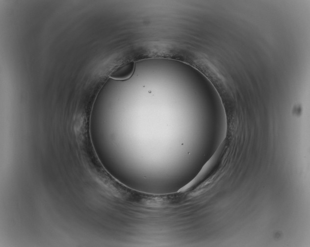 X0000097870079200803141307