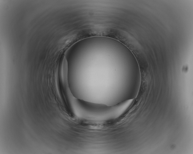 X0000097870080200803141307