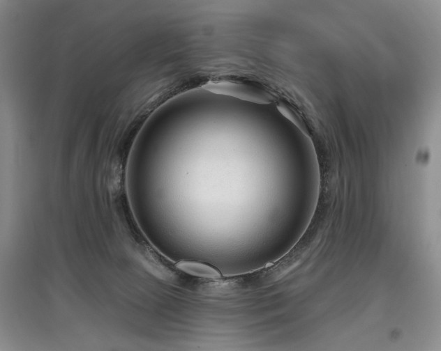 X0000097870081200803141307