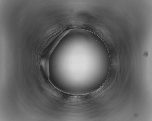X0000097870082200803141307