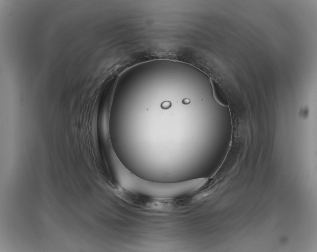 X0000097870084200803141307