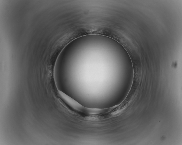 X0000097870085200803141307