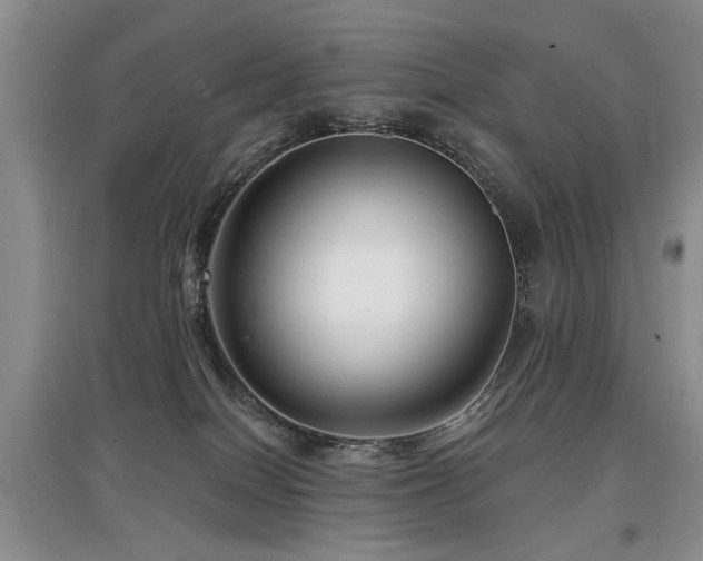 X0000097870086200803141307