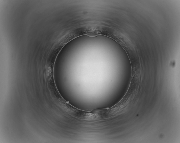 X0000097870087200803141307