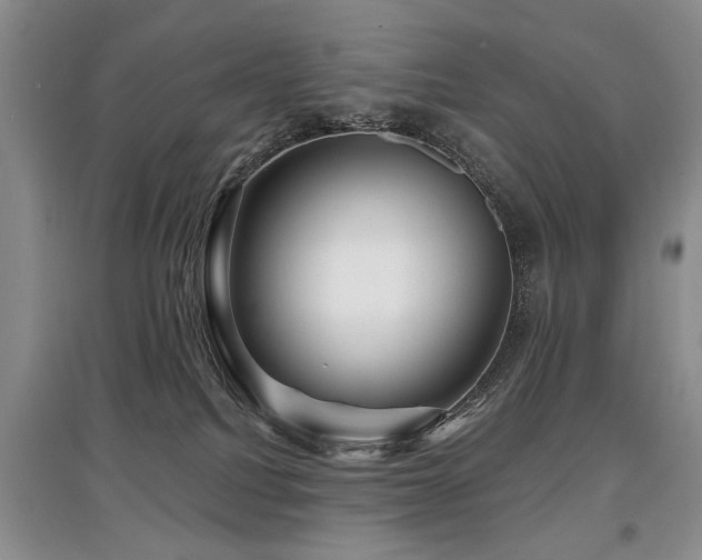 X0000097870088200803141307