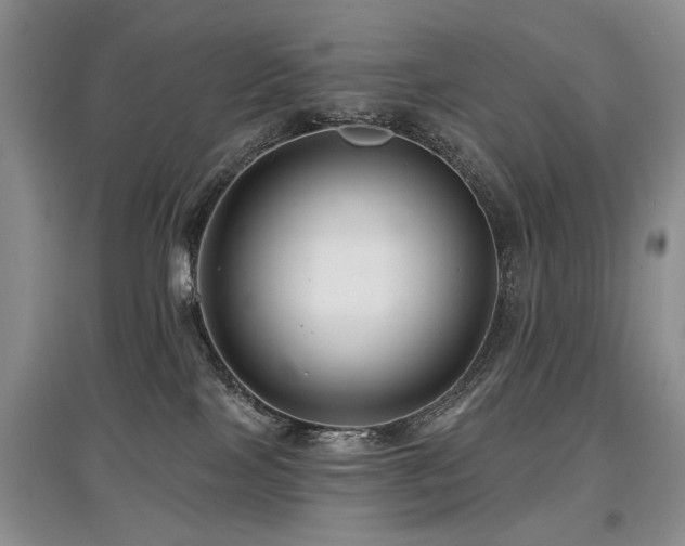 X0000097870089200803141307