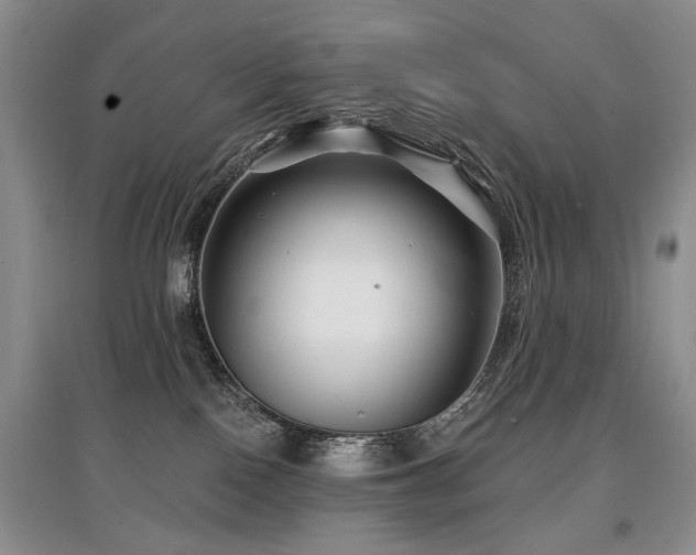 X0000097870090200803141307
