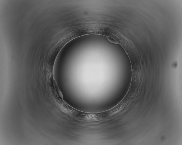 X0000097870091200803141307