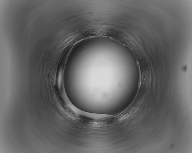 X0000097870092200803141307