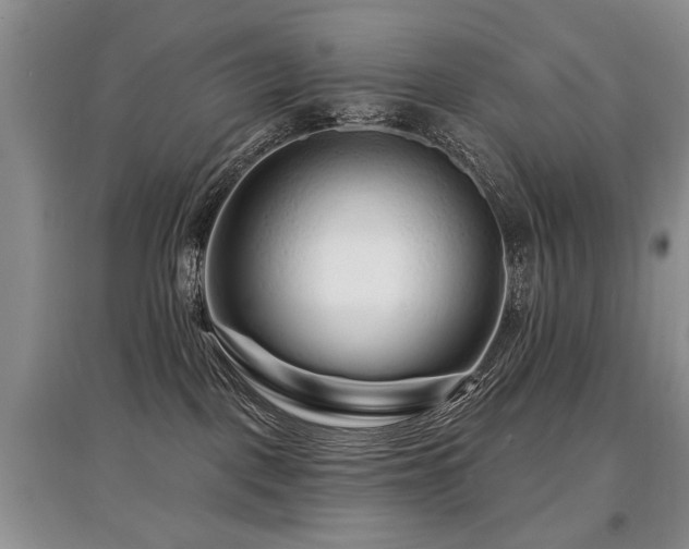 X0000097870093200803141307
